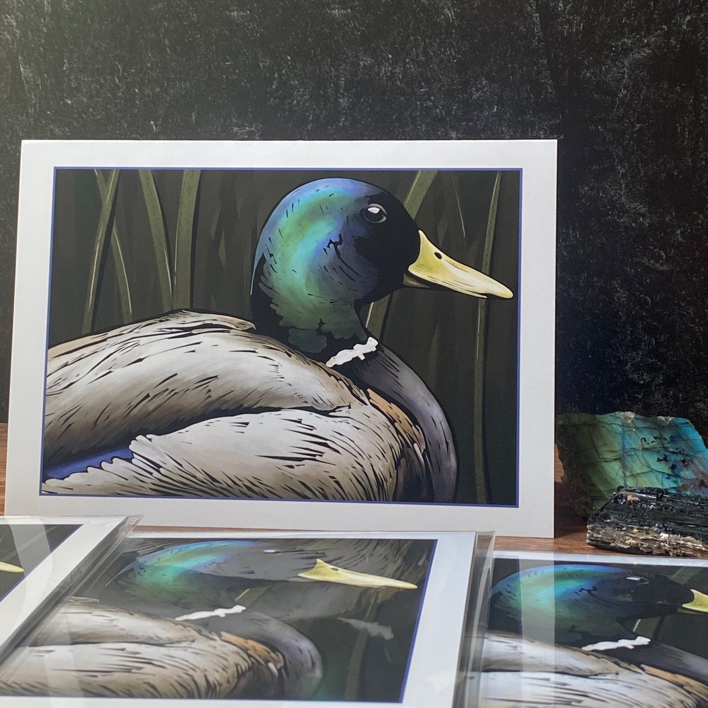 Mallard on the Tualatin greeting card (blank inside)