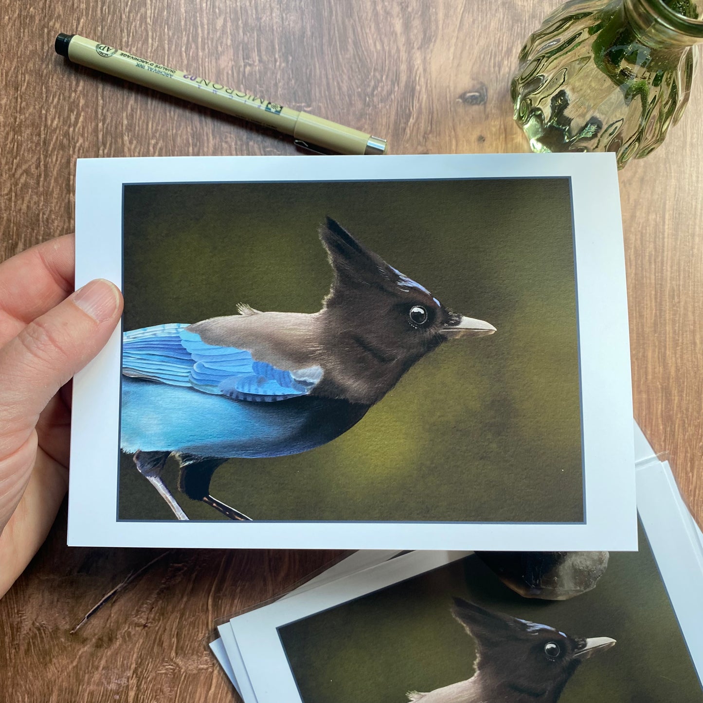 Steller's Jay #2 greeting card (blank inside)