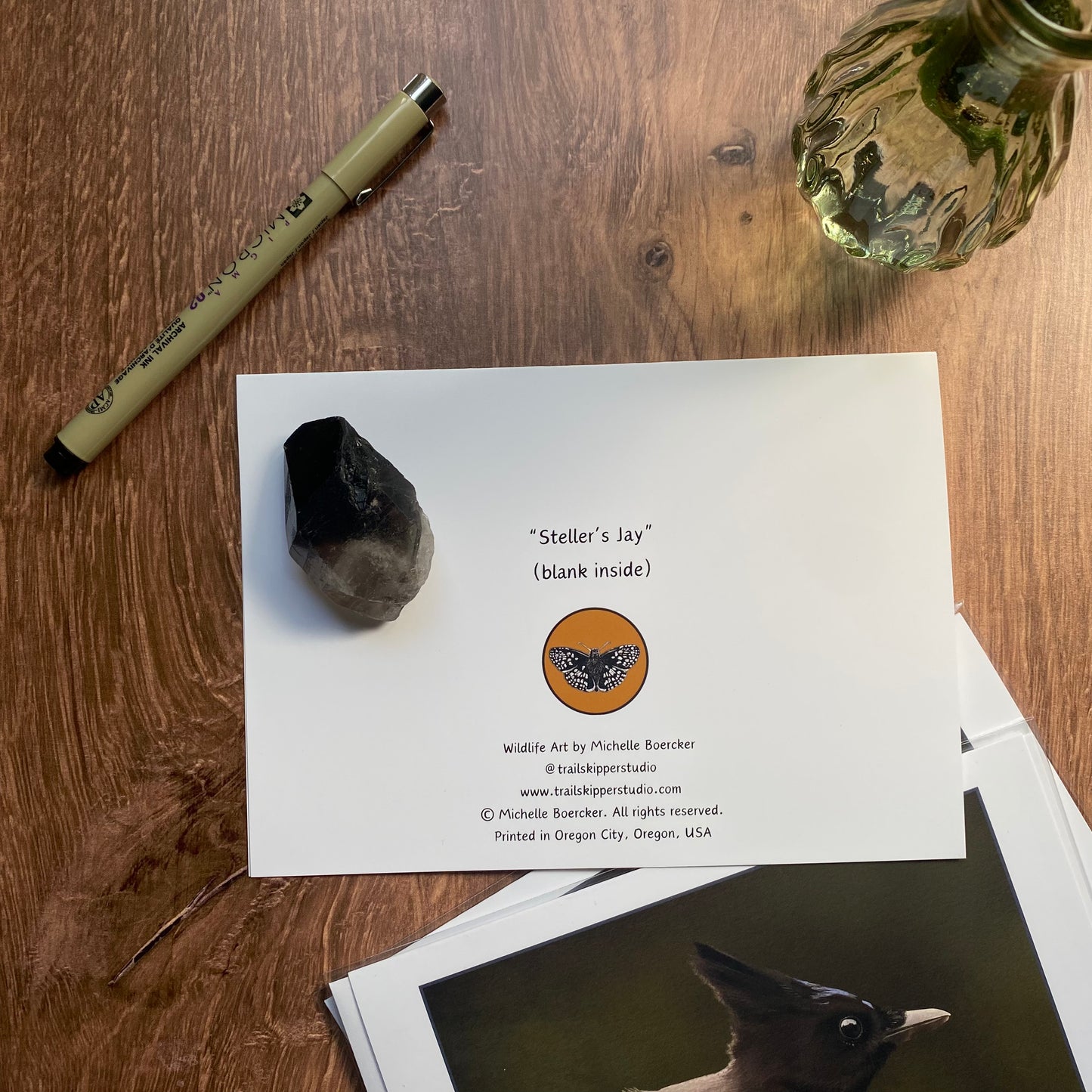Steller's Jay #2 greeting card (blank inside)
