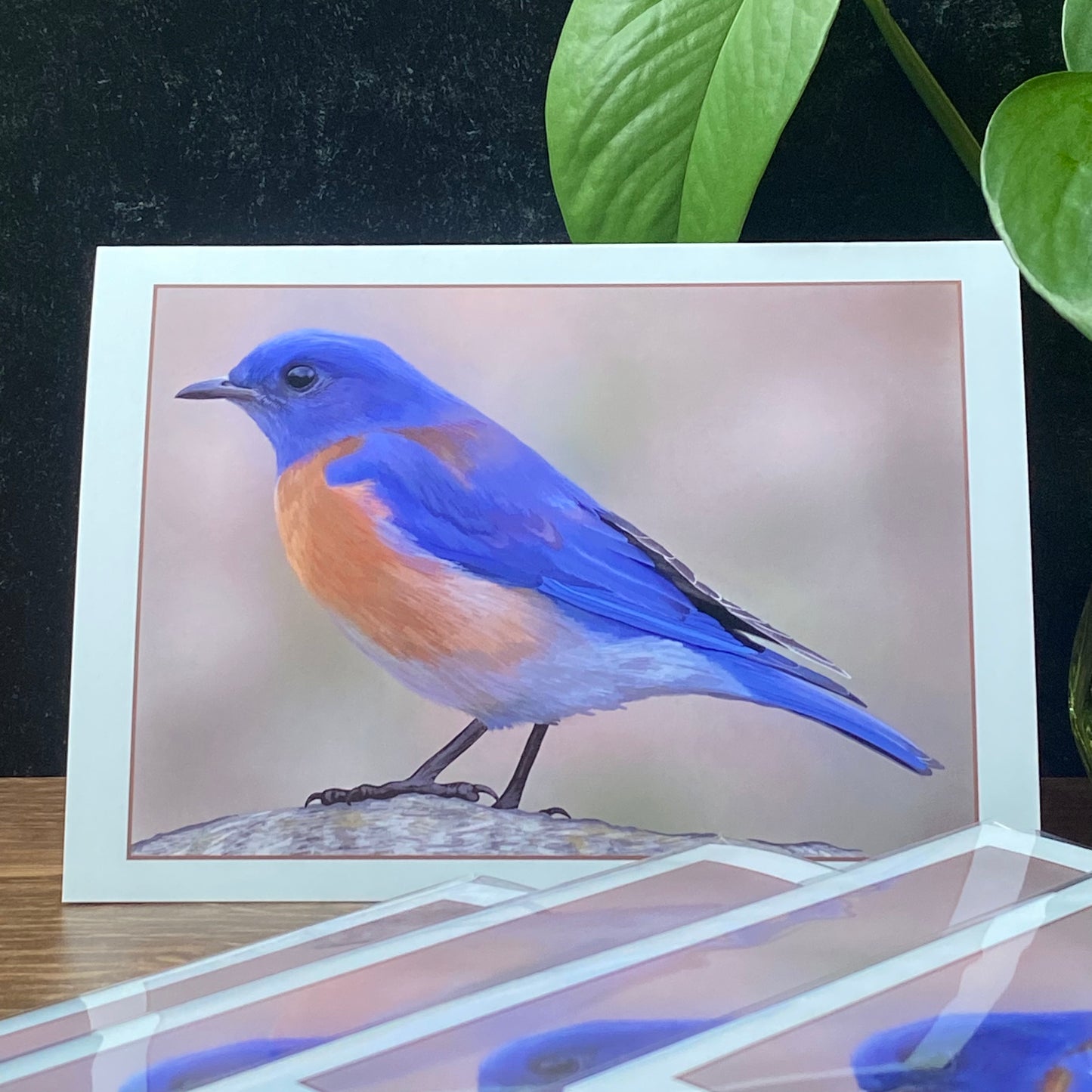 Western Bluebird at Running Y Resort greeting card (blank inside)