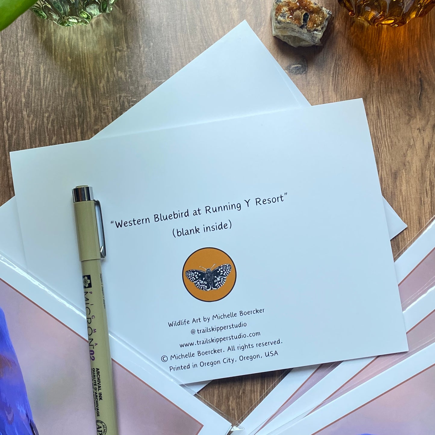 Western Bluebird at Running Y Resort greeting card (blank inside)