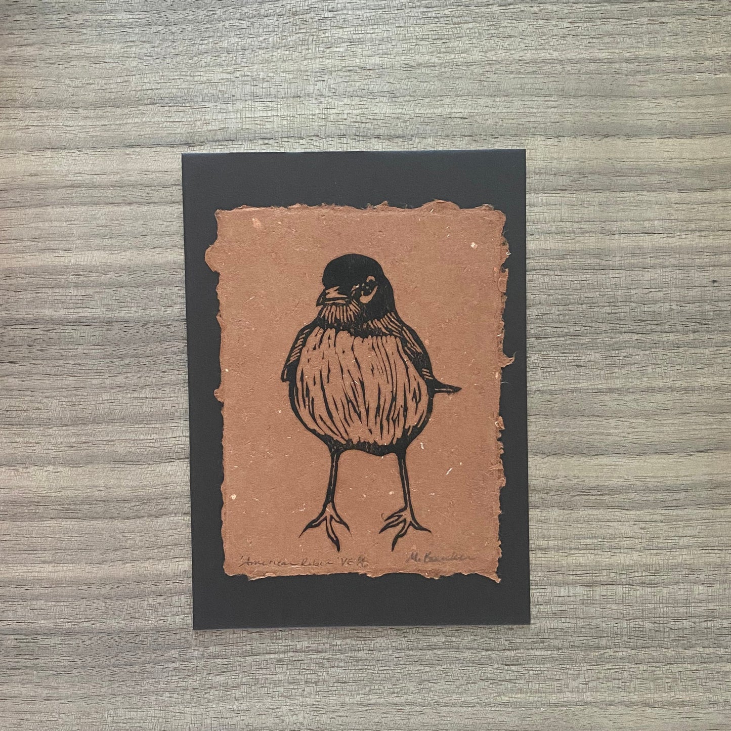 American Robin limited edition 4.25 x 5.5 print on 5x7 mat board