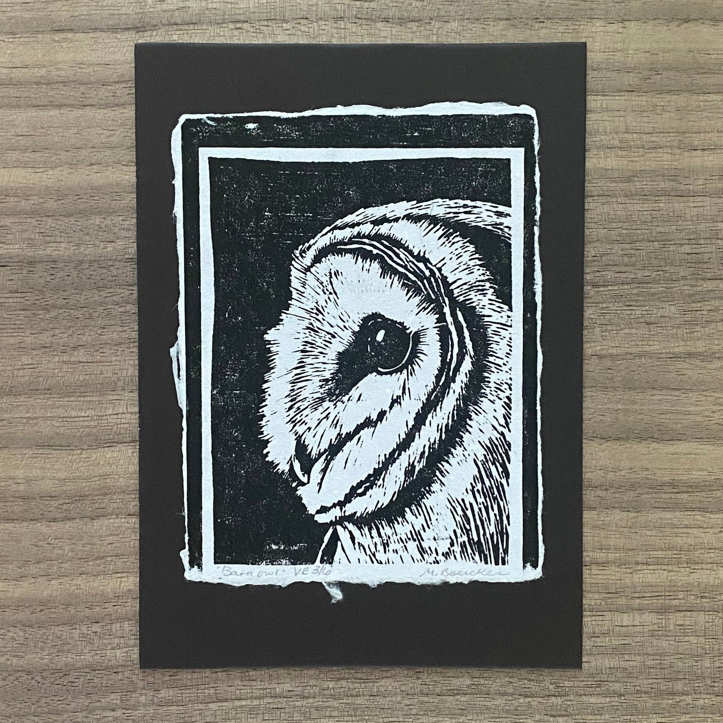 Barn Owl limited edition 4.25 x 5.5 print (cool white) on 5x7 mat board