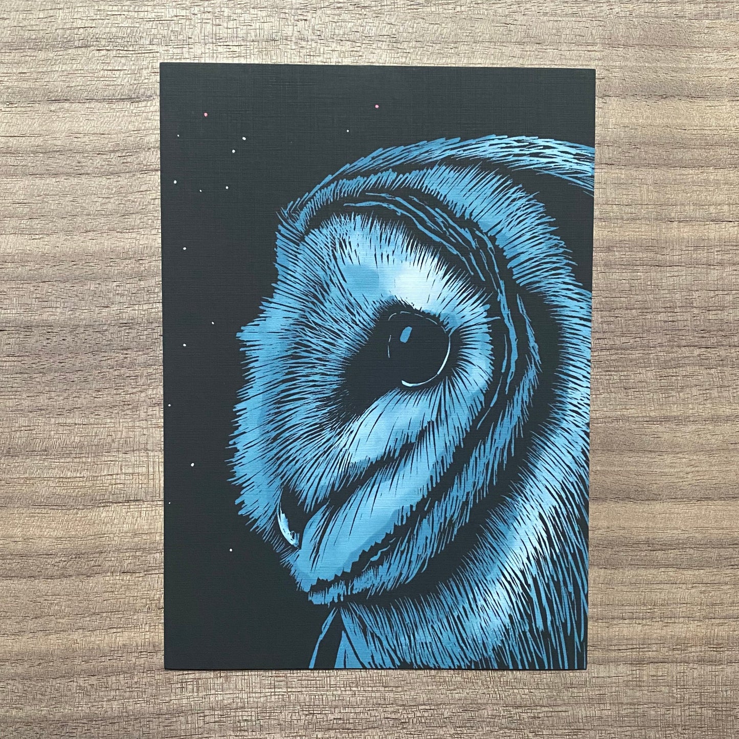 Barn Owl original Trail Skipper art print (5x7 borderless)