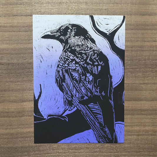 Raven original Trail Skipper art print (5x7 borderless)