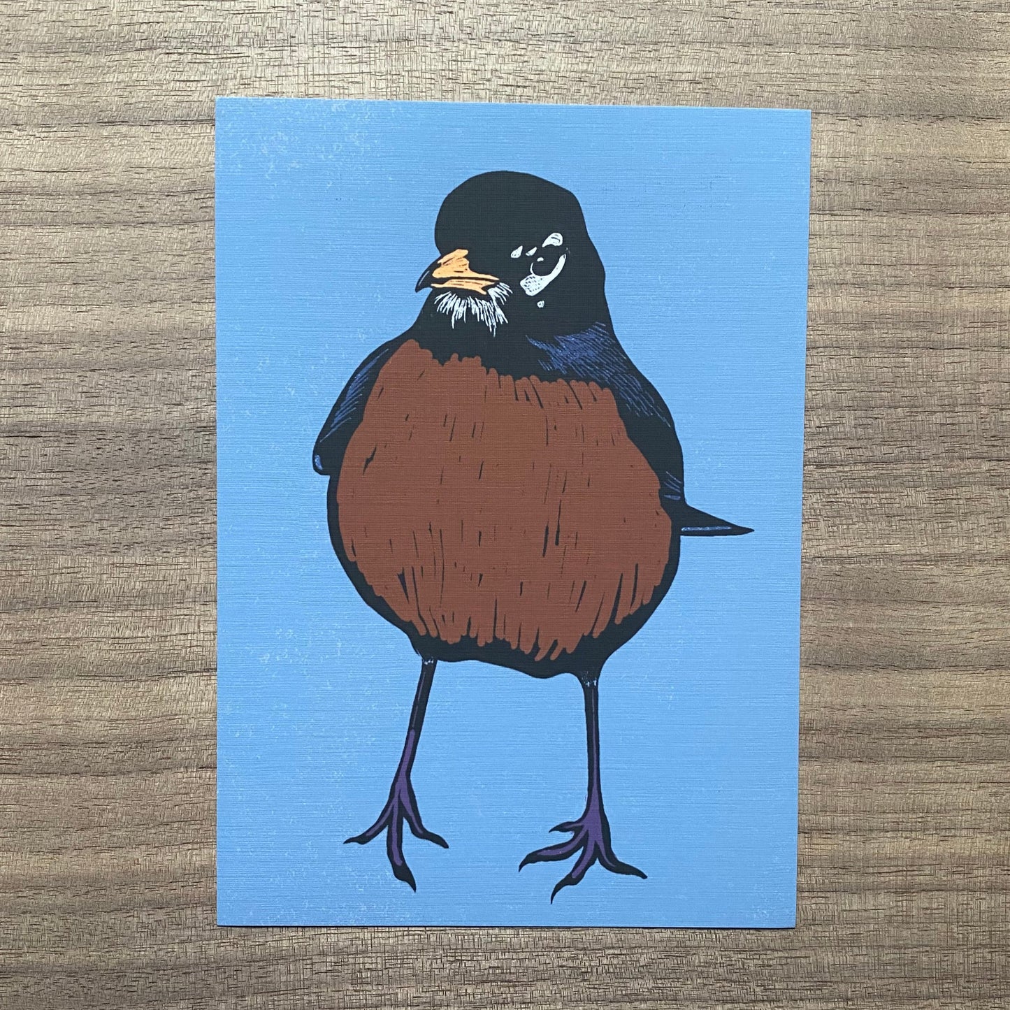 American Robin original Trail Skipper art print (5x7 borderless)