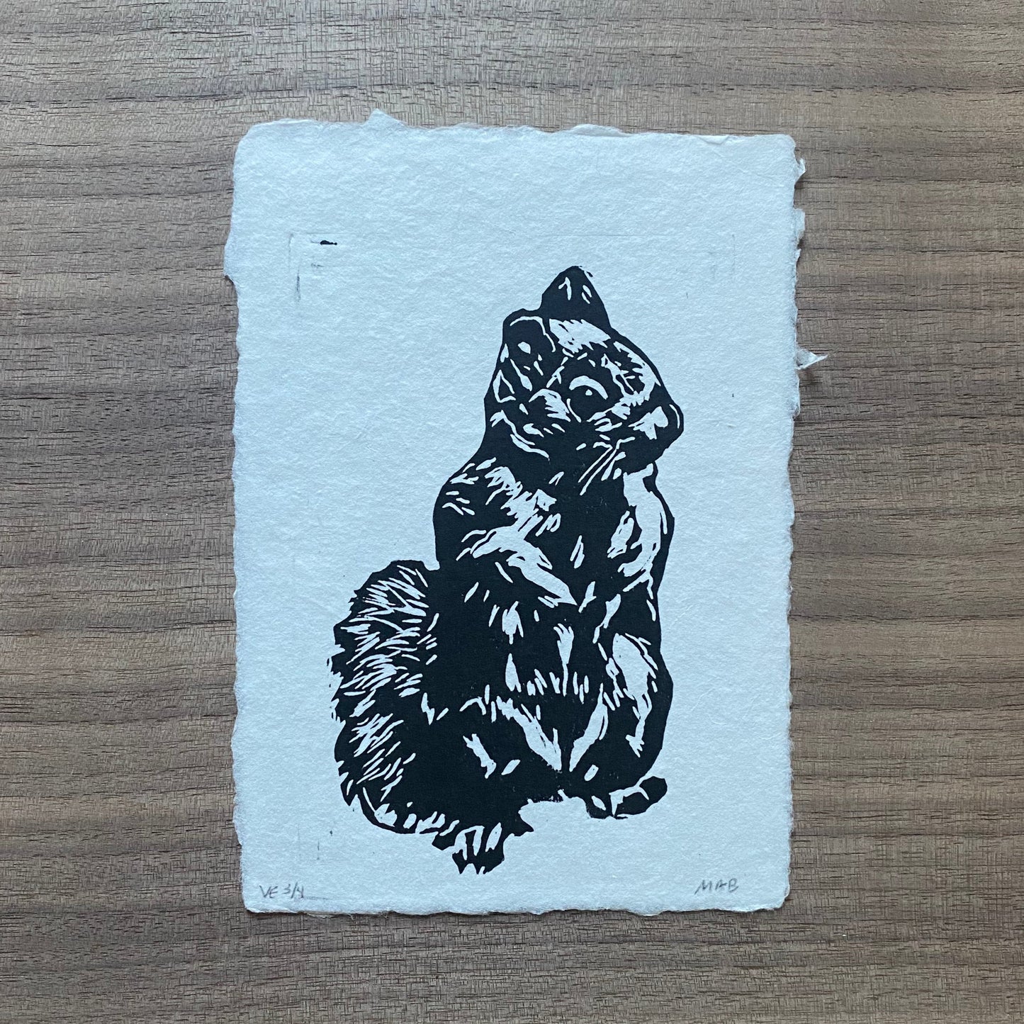 Douglas Squirrel limited edition print